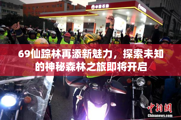 69仙踪林再添新魅力，探索未知的神秘森林之旅即将开启