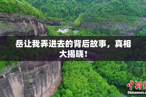 岳让我弄进去的背后故事，真相大揭晓！