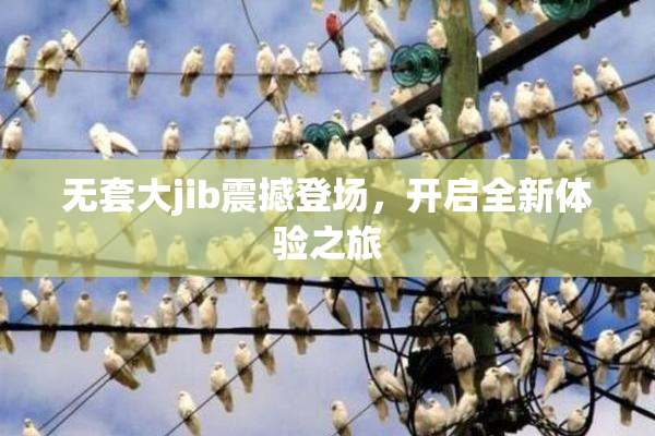 无套大jib震撼登场，开启全新体验之旅
