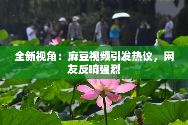 全新视角：麻豆视频引发热议，网友反响强烈