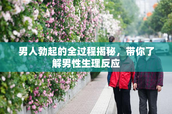 男人勃起的全过程揭秘，带你了解男性生理反应