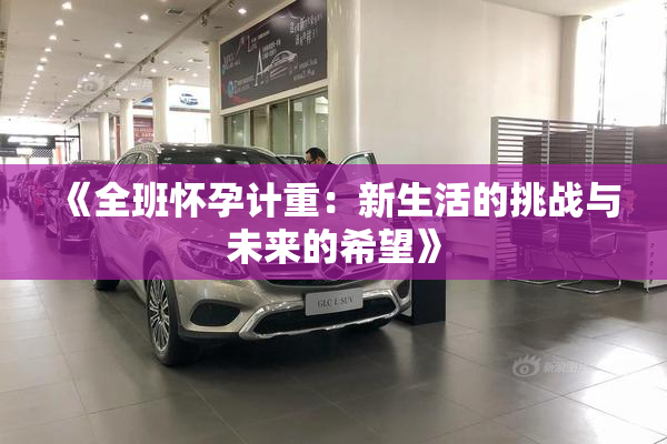 《全班怀孕计重：新生活的挑战与未来的希望》
