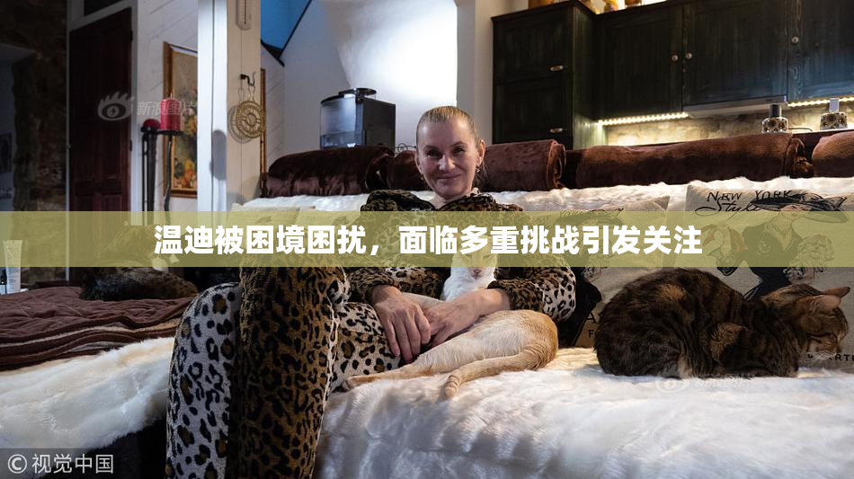 温迪被困境困扰，面临多重挑战引发关注