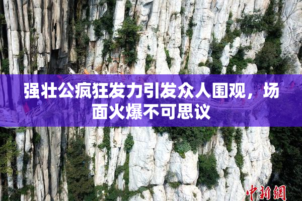 强壮公疯狂发力引发众人围观，场面火爆不可思议