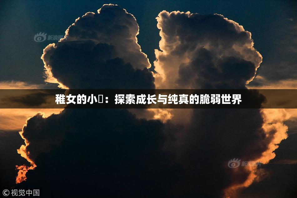 稚女的小泬：探索成长与纯真的脆弱世界