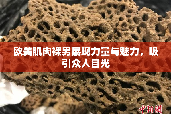 欧美肌肉裸男展现力量与魅力，吸引众人目光