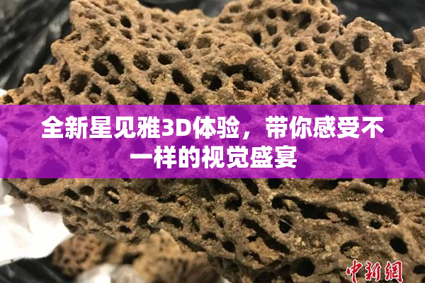 全新星见雅3D体验，带你感受不一样的视觉盛宴
