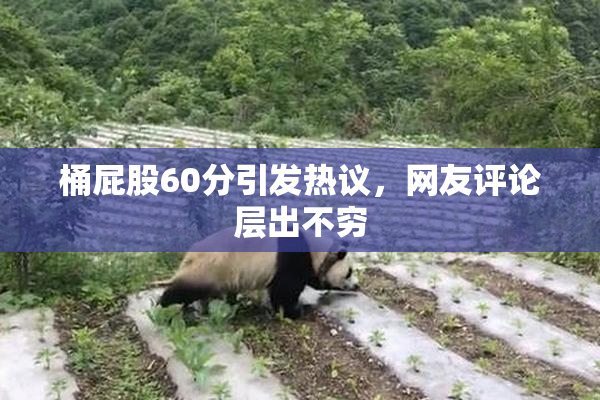 桶屁股60分引发热议，网友评论层出不穷