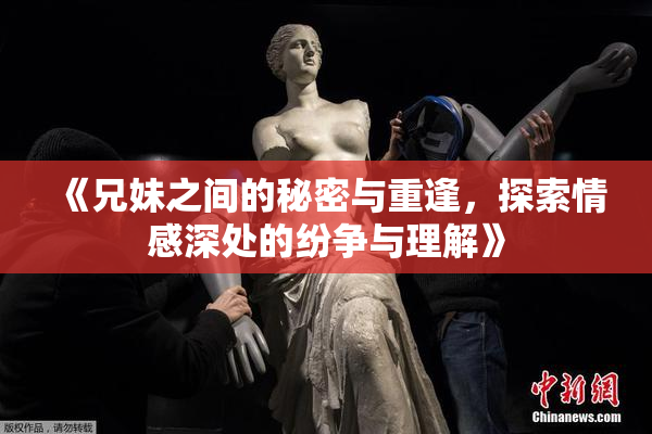 《兄妹之间的秘密与重逢，探索情感深处的纷争与理解》