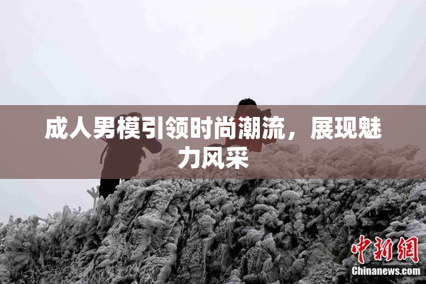 成人男模引领时尚潮流，展现魅力风采