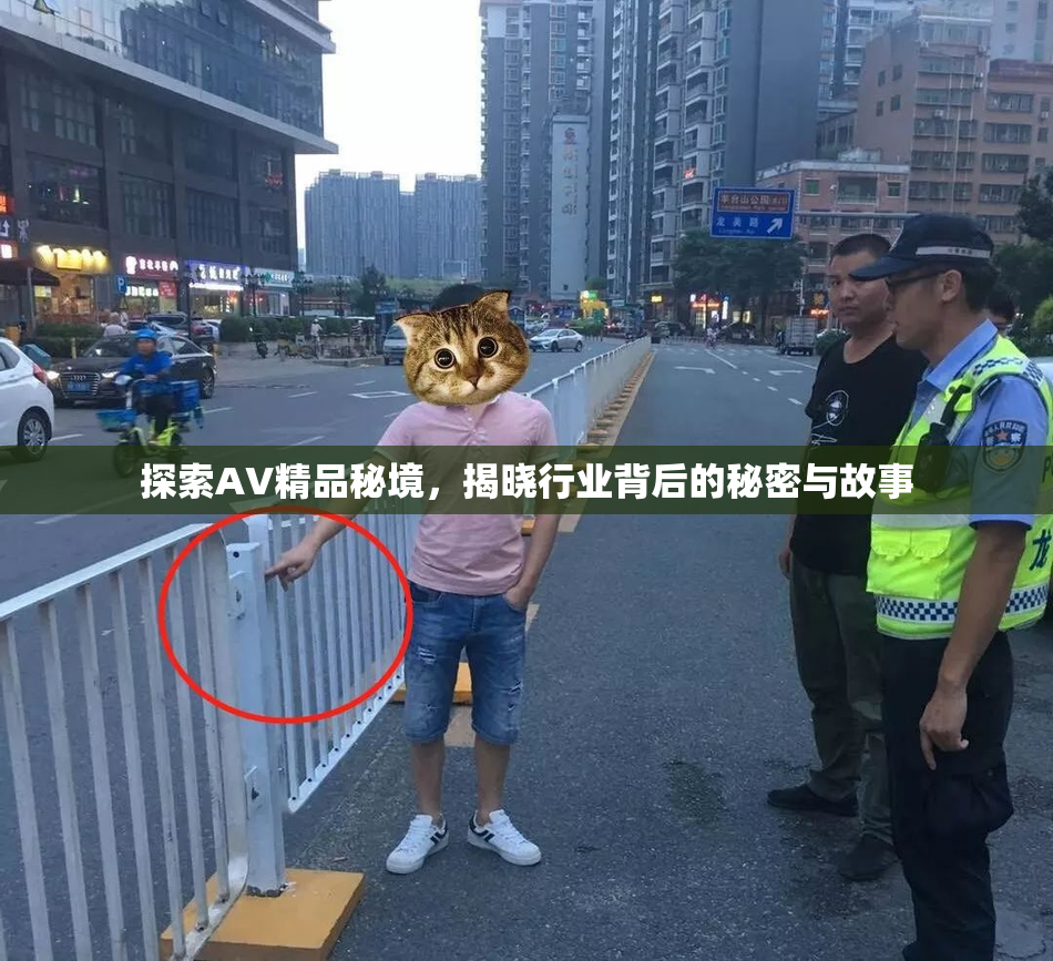 探索AV精品秘境，揭晓行业背后的秘密与故事