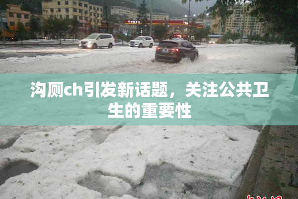 沟厕ch引发新话题，关注公共卫生的重要性