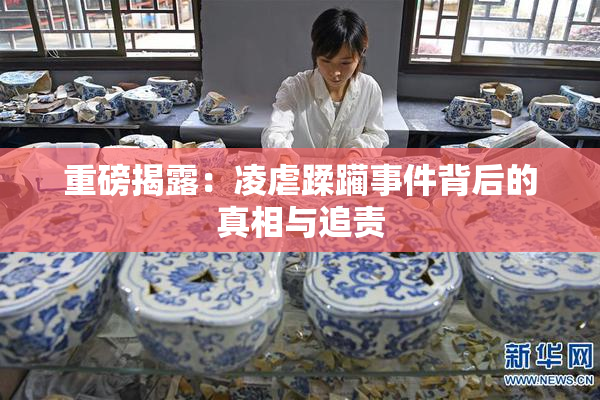 重磅揭露：凌虐蹂躏事件背后的真相与追责