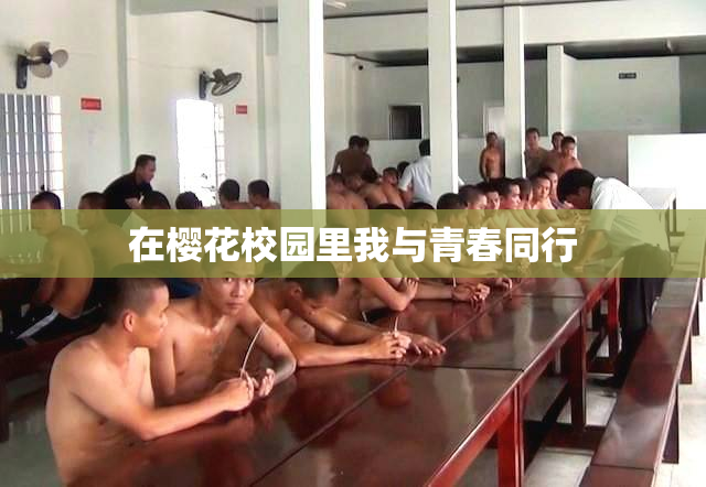 在樱花校园里我与青春同行