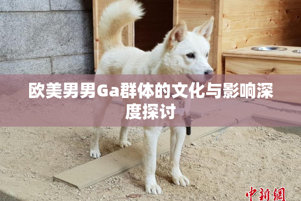 欧美男男Ga群体的文化与影响深度探讨