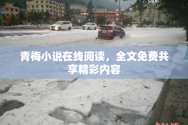 青梅小说在线阅读，全文免费共享精彩内容
