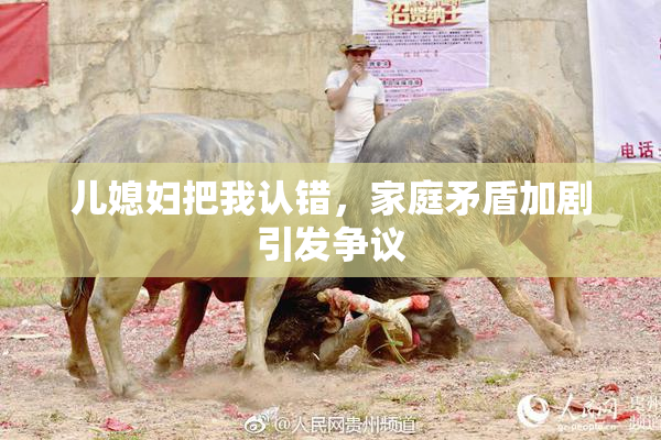 儿媳妇把我认错，家庭矛盾加剧引发争议