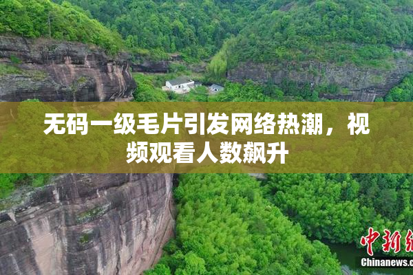 无码一级毛片引发网络热潮，视频观看人数飙升