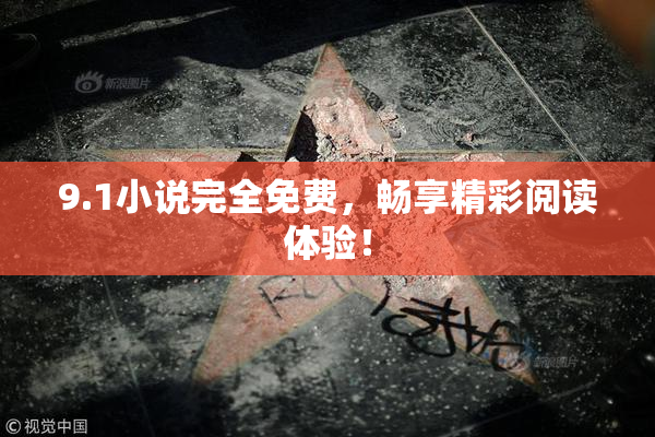 9.1小说完全免费，畅享精彩阅读体验！