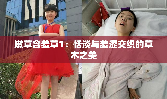 嫩草含羞草1：恬淡与羞涩交织的草木之美