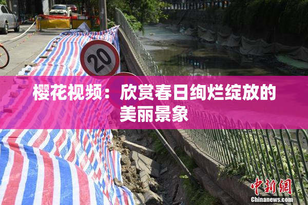 樱花视频：欣赏春日绚烂绽放的美丽景象
