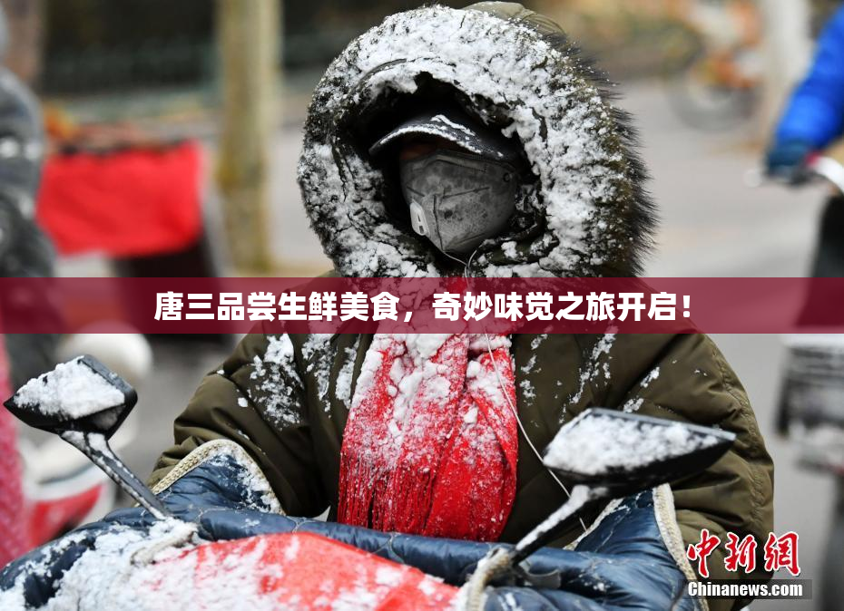 唐三品尝生鲜美食，奇妙味觉之旅开启！
