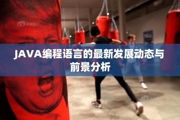 JAVA编程语言的最新发展动态与前景分析