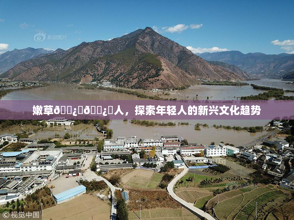 嫩草🌿‌🌿‌人，探索年轻人的新兴文化趋势