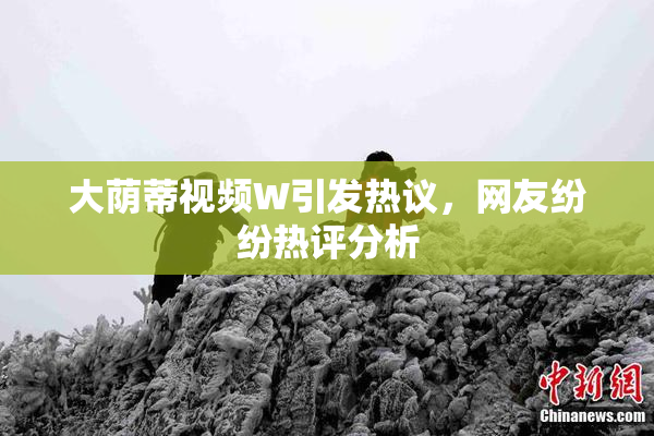 大荫蒂视频W引发热议，网友纷纷热评分析
