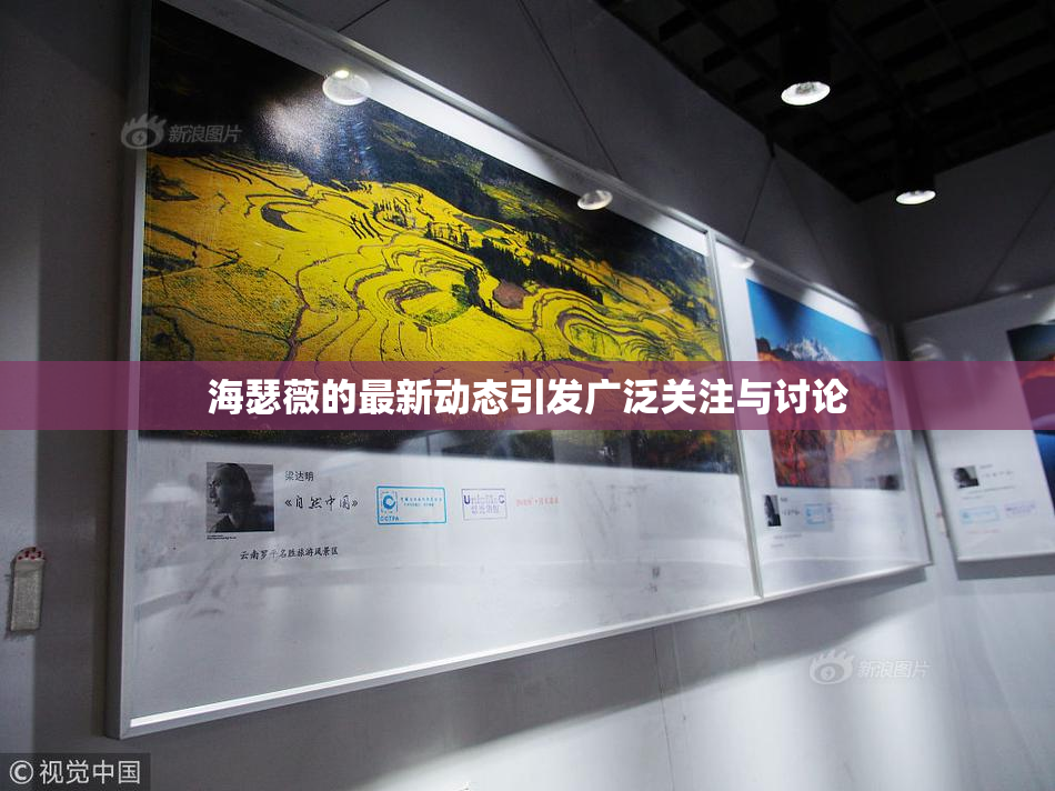 海瑟薇的最新动态引发广泛关注与讨论