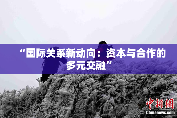 “国际关系新动向：资本与合作的多元交融”