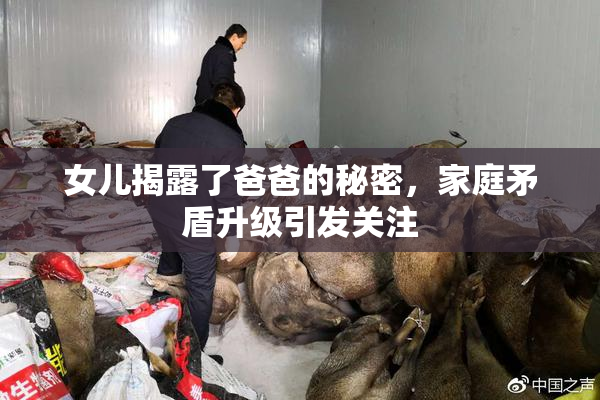 女儿揭露了爸爸的秘密，家庭矛盾升级引发关注