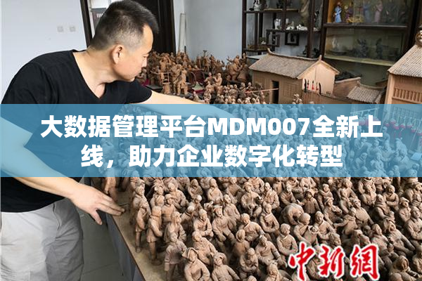 大数据管理平台MDM007全新上线，助力企业数字化转型