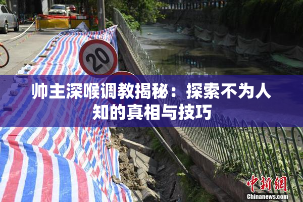 帅主深喉调教揭秘：探索不为人知的真相与技巧