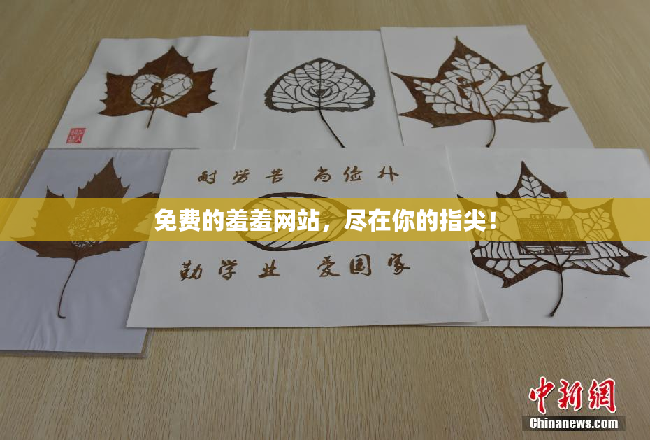免费的羞羞网站，尽在你的指尖！
