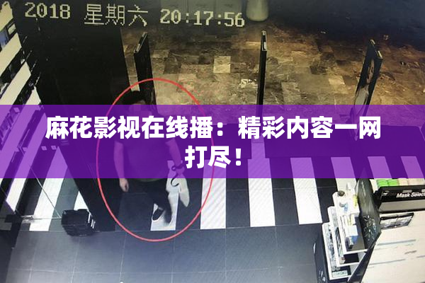 麻花影视在线播：精彩内容一网打尽！