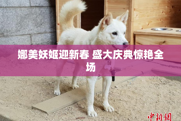 娜美妖姬迎新春 盛大庆典惊艳全场