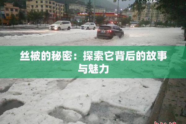 丝被的秘密：探索它背后的故事与魅力