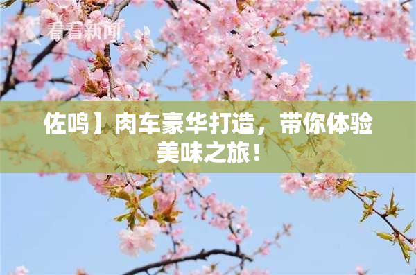 佐鸣】肉车豪华打造，带你体验美味之旅！