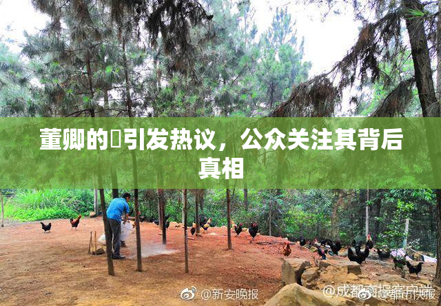 董卿的婬引发热议，公众关注其背后真相