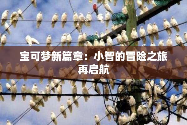 宝可梦新篇章：小智的冒险之旅再启航
