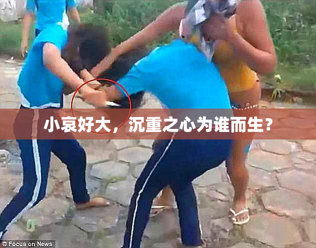 小哀好大，沉重之心为谁而生？