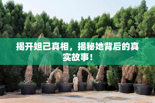 揭开妲己真相，揭秘她背后的真实故事！