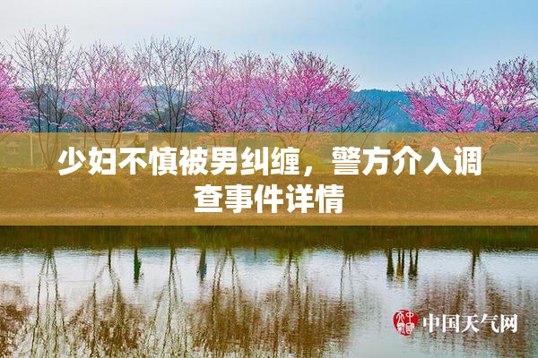 少妇不慎被男纠缠，警方介入调查事件详情