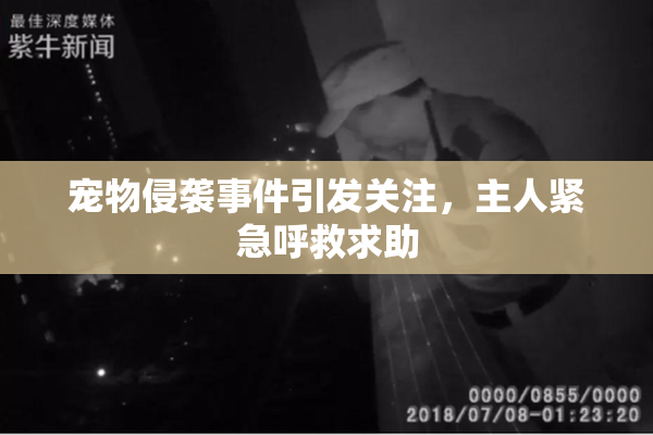 宠物侵袭事件引发关注，主人紧急呼救求助