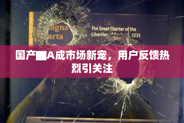 国产▇A成市场新宠，用户反馈热烈引关注