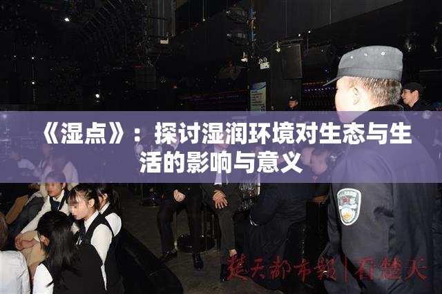 《湿点》：探讨湿润环境对生态与生活的影响与意义