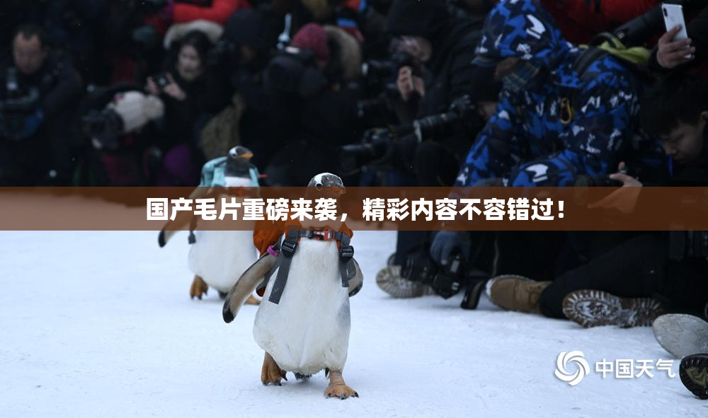 国产毛片重磅来袭，精彩内容不容错过！