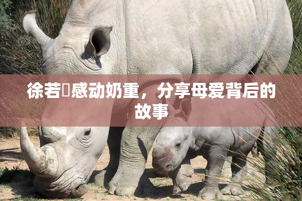 徐若瑄感动奶重，分享母爱背后的故事