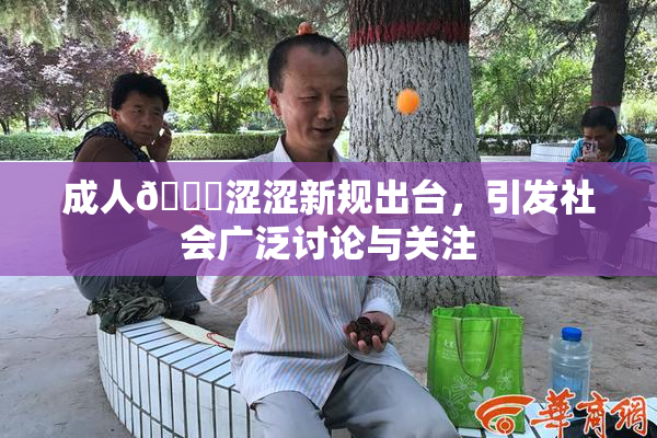 成人🔞涩涩新规出台，引发社会广泛讨论与关注